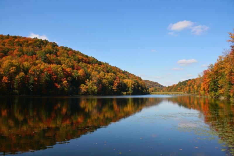 Hero for Home Services Options